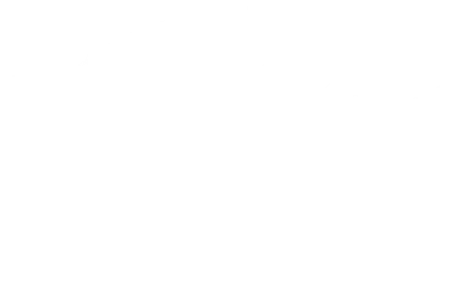 a black and white drawing of a crab